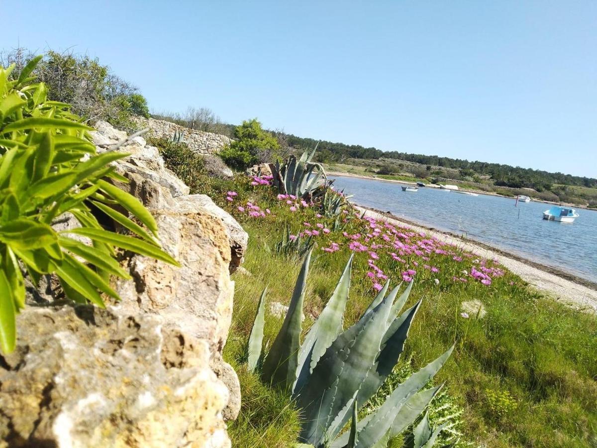 Studio Nefs Des Sables Leucate Buitenkant foto